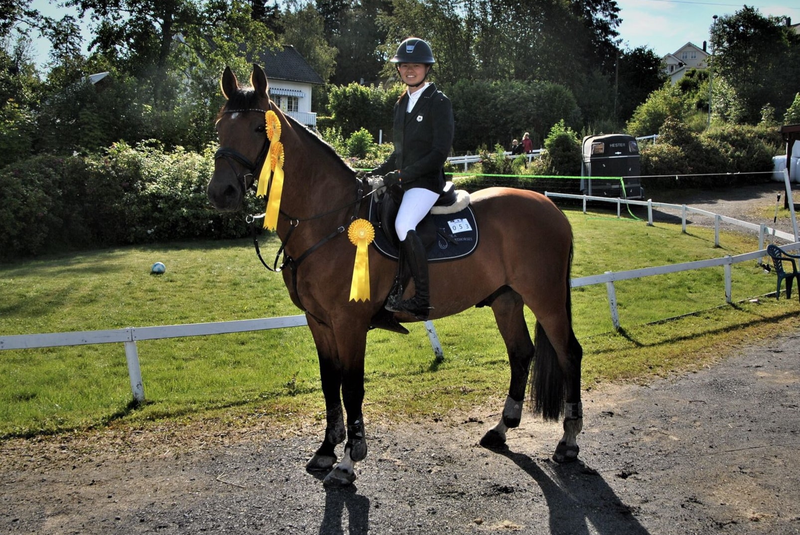 D-stevne Arendal og Grimstad Rideklubb 04-07.juli 2019